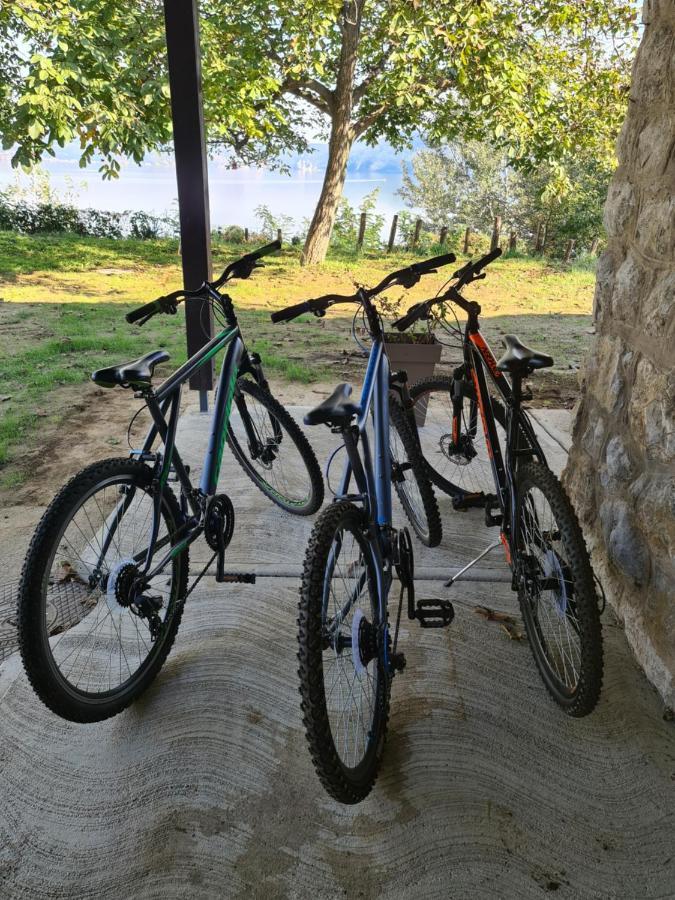 Kuca Za Odmor-Zelena Oaza Hotell Golubac Eksteriør bilde