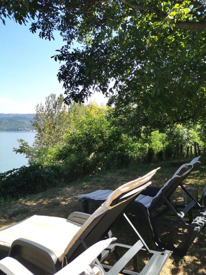Kuca Za Odmor-Zelena Oaza Hotell Golubac Eksteriør bilde